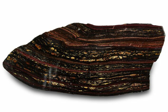 Polished Tiger Iron Stromatolite Slab - Billion Years #319391